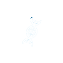 費(fèi)用繳納