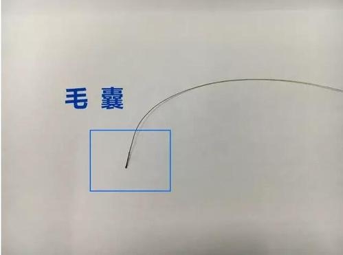 想做個人親子鑒定，頭發(fā)可以鑒定嗎？