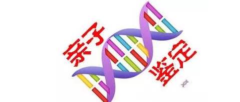 個(gè)人親子鑒定需要什么材料