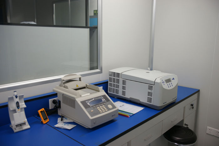 親子鑒定費(fèi)用多少合適?詳細(xì)解析